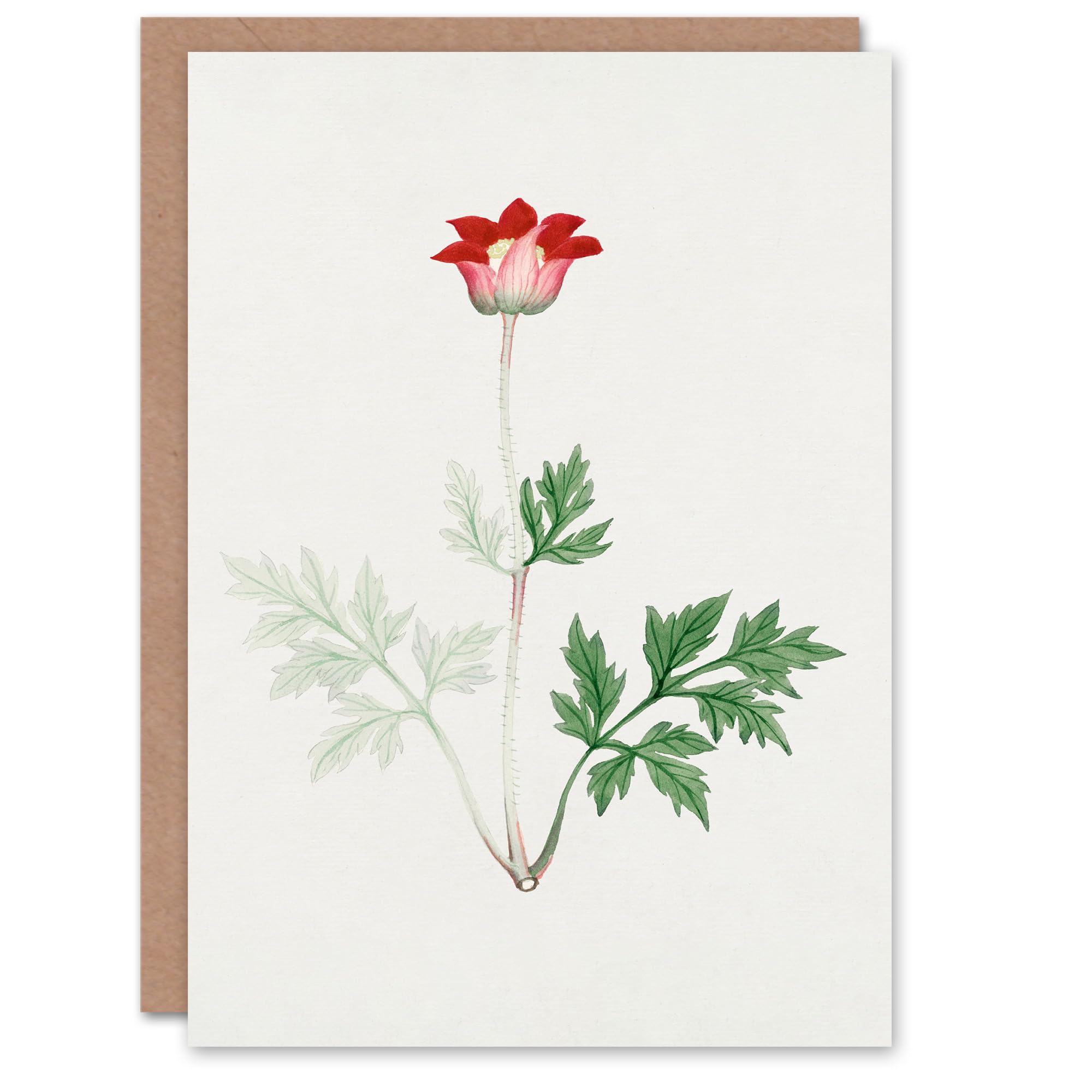 Artery8 Vintage Japanese Botanical Art Card Red Bloom Flower