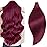 YDDM Human Hair Extensions Tape in, 20 Inch 10pcs Burgundy 100% Remy Human Hair Seamless Invisible Tape in Hair Extensions(99J-A, 20 Inch)