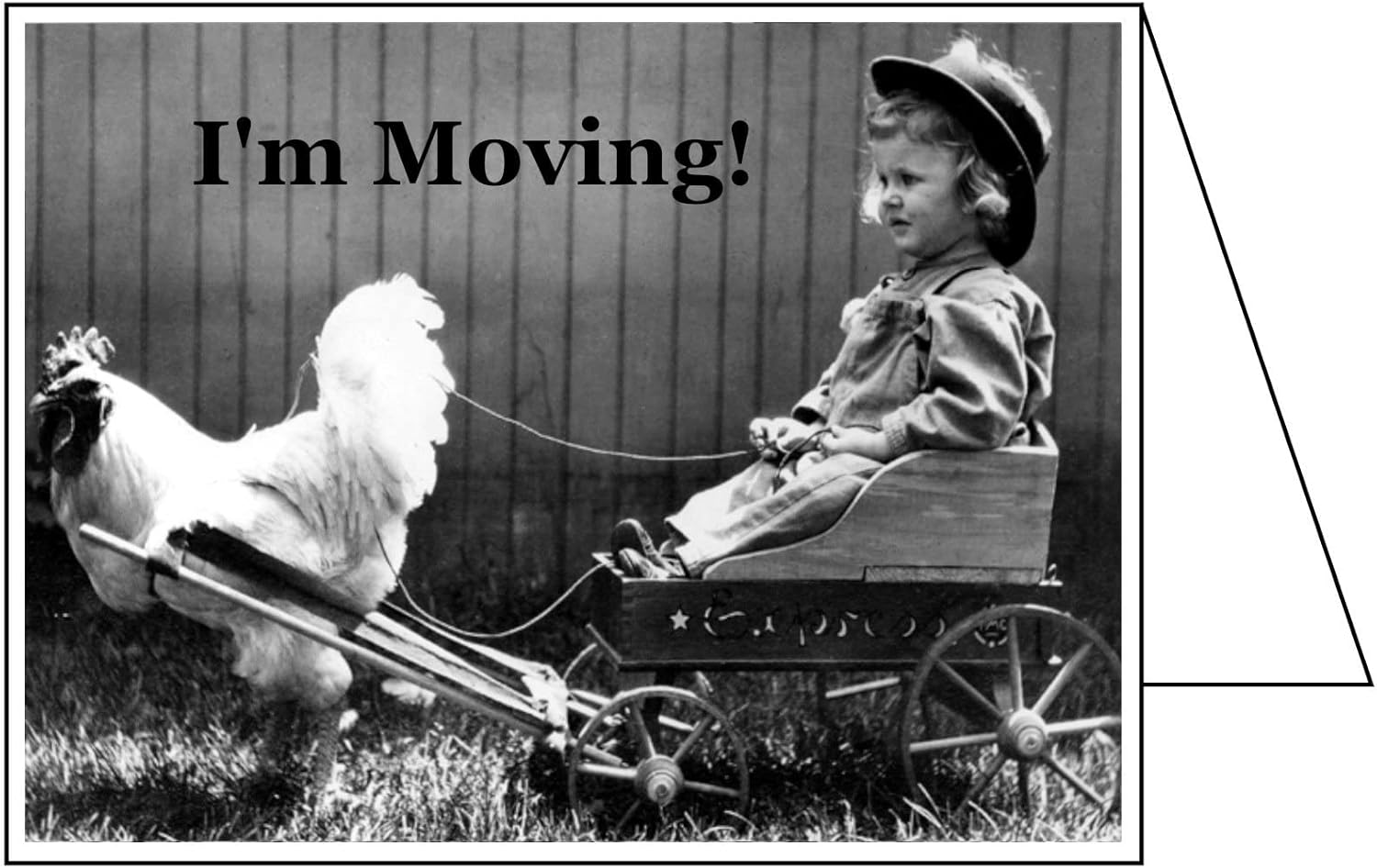 Flashcards Change of Address GREETING CARDS, I'm Moving! (Pack of 10 Cards & 10 Envelopes) Moving Announcements FN4273CAS-10