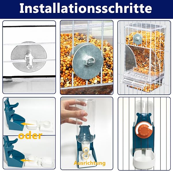 Automatischer Futterspender Vögel und Wasserspender Transparentes Acryl Vogelfutterhaus und Vogel Wasserspender Vogelkäfig, Käfigzubehör für Vögel, Papageien, Kanarienvögel (Futternapfständer+Blue) - 5