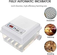 Vista 4 de Incubadora automática de huevos 16 huevos digital Control de temperatura completo aves de corral criador de pollo, pollo, pato, ganso, codorniz