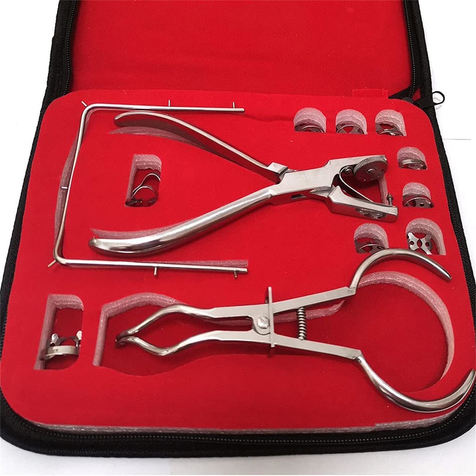 Buy ANYURAN Heavy Duty Premium Dental Extracting Extraction Forceps