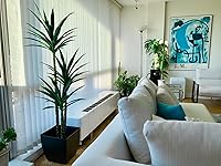 Review Image by FLW FLW