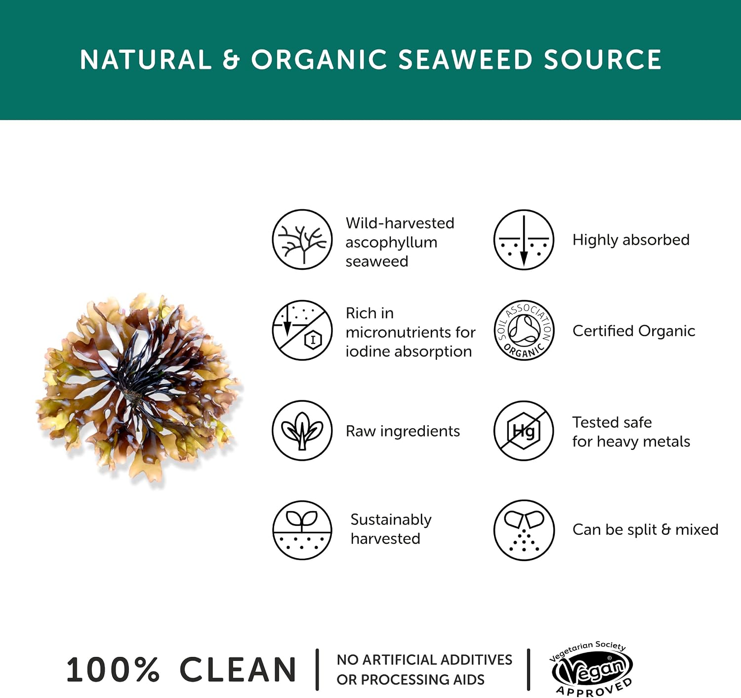 Organic Seaweed Iodine Supplement, Together Health, from Organic Seaweed, Natural Source of Iodine, Vegan Friendly - Image 4