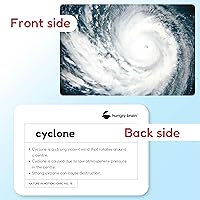 Vista 4 de Hungry brain Educativas - Tarjetas flash de naturaleza en movimiento para niños pequeños Tarjetas flash de aprendizaje temprano para el desarrollo