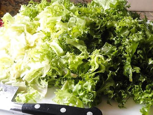 Miniatura 5 de Semillas Endive Lechuga Amarillo Corazón Rizado Frisee 50 Días para Ensalada Vegetales No OGM para Plantar 700 Semillas