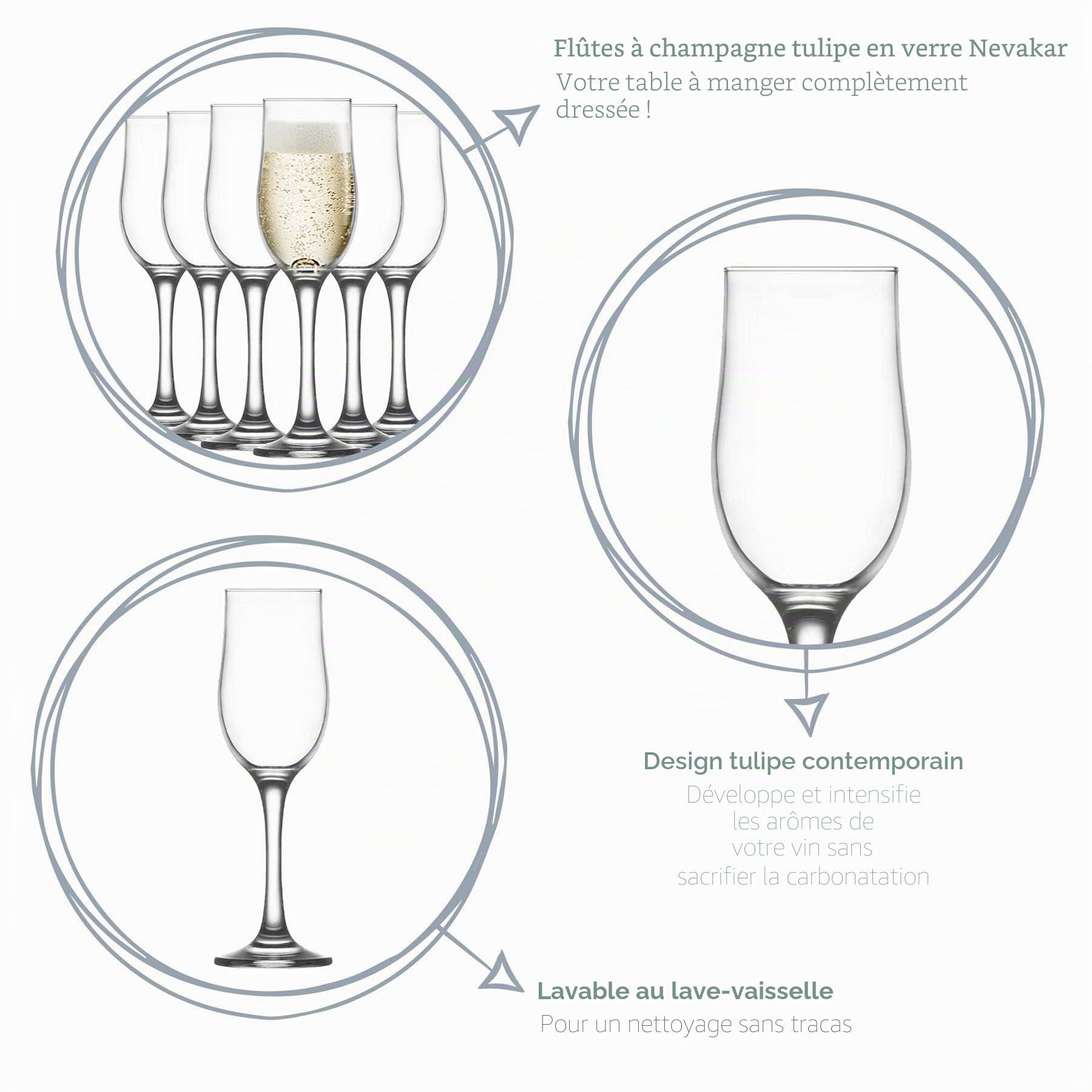 Verres à Champagne Nevakar - Forme Tulipe - 195 ML - Lot de 12