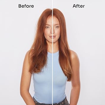Wet Brush Easy Blowout Brush