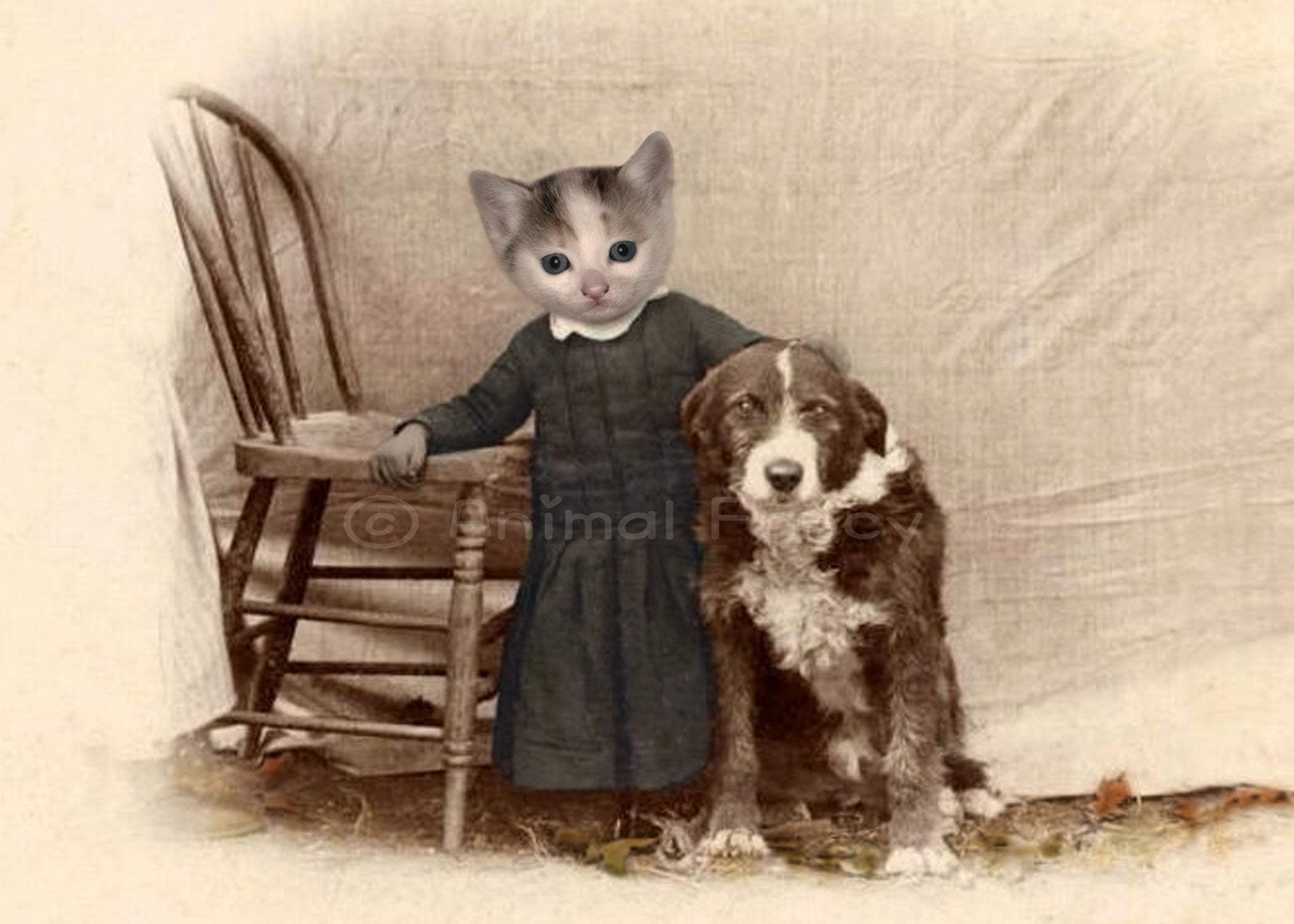 Cat Art Print -"Wynn"