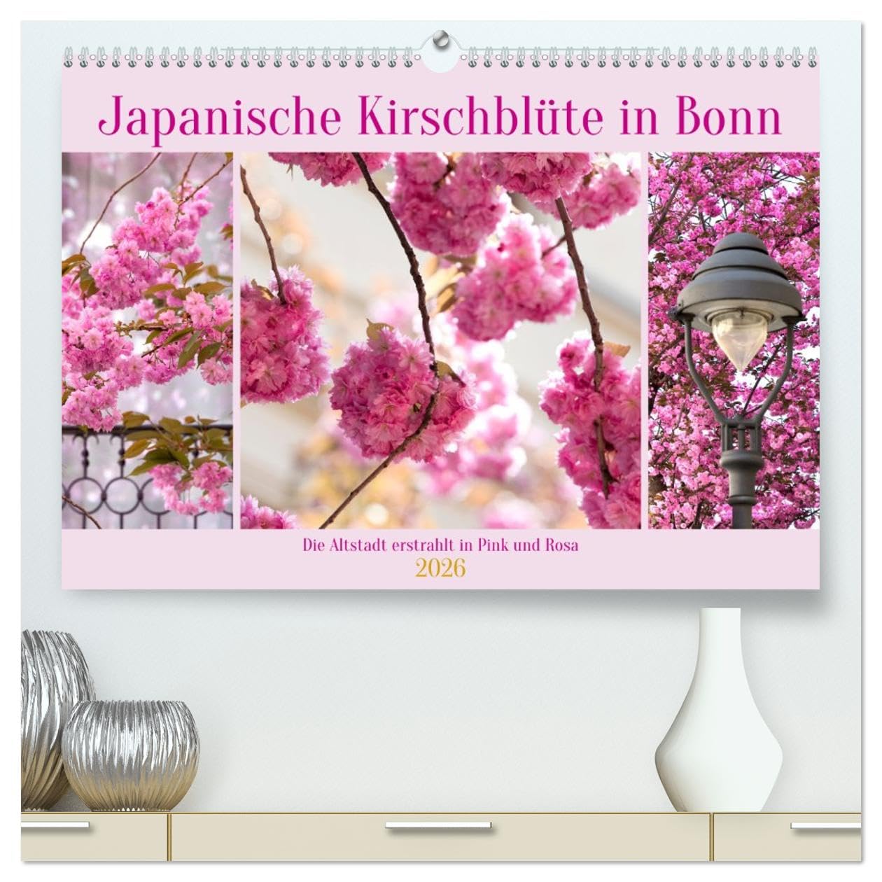 Japanische Kirschblüte in Bonn (hochwertiger Premium Wandkalender 2026 DIN A2 quer), Kunstdruck in Hochglanz: Die Altstadt erstrahlt in Pink und Rosa (CALVENDO Orte)