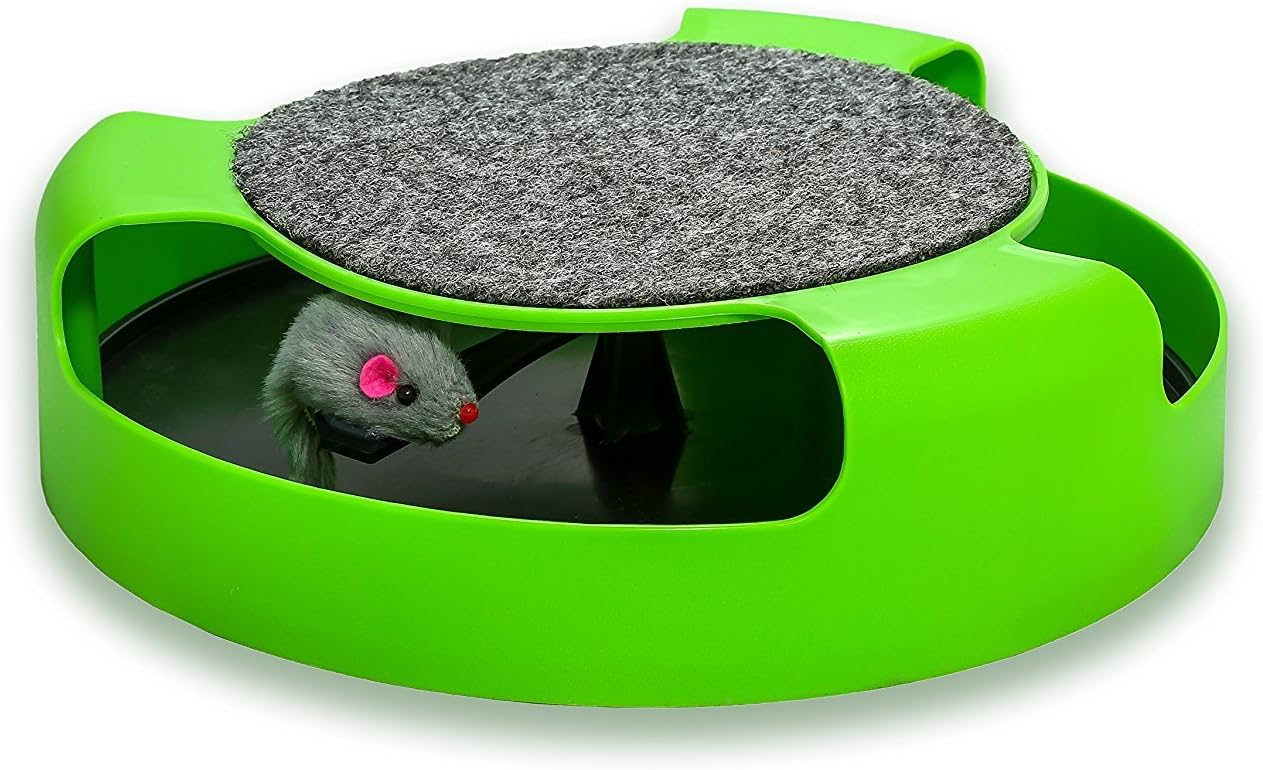 AroPaw Interactive Cat Toys Quality Best Interactive Kitten Catnip Toys Includes Play Mice (Single) : Pet Supplies