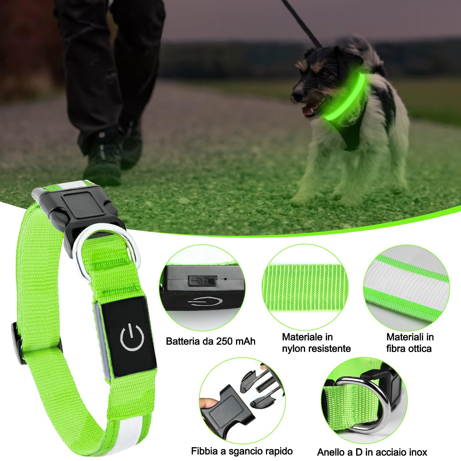 Nepfaivy Collare Luminoso per Cani Ricaricabile - Collare per Cani a Led con Lunghezza Regolabile, 3 Modalità di Illuminazione per la Sicurezza Notturna, Verde