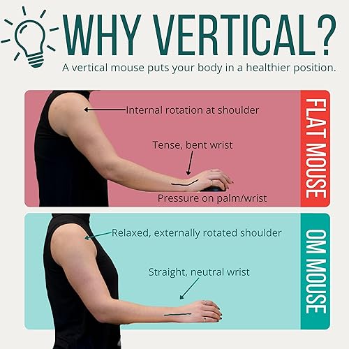 Miniatura 3 de Ergodriven Om Handshake - Mouse vertical  Ratón ergonómico inalámbrico  Recargable  Interruptores de micro fuerza de clic silencioso  Pantalla OLED