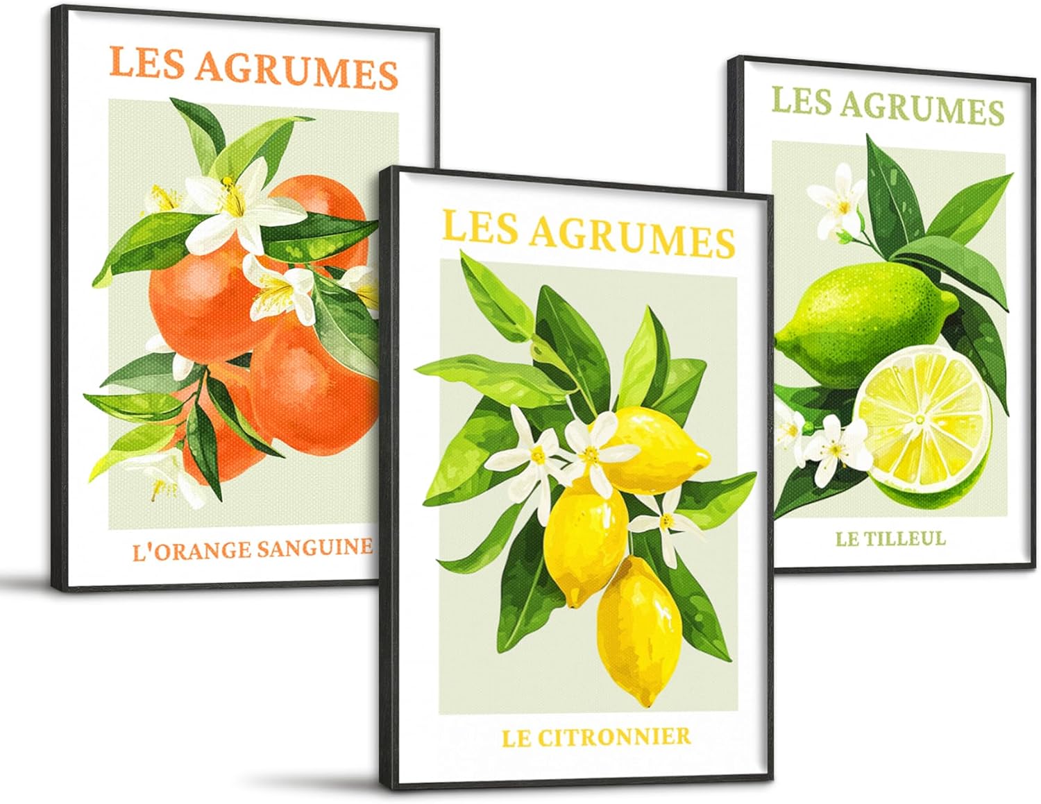 SERIMINO Fruit Botanical Wall Art for Kitchen, Lemon Prints Framed Canvas Wall Decor for Floral Dining Room Farmhouse, Watercolor Paintings Room Decor Aesthetic 3 Piece Set, 20"X28" 28L" x 20W" Citrus Fruit