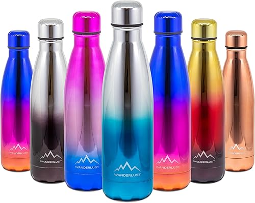 Wanderlust - Botella de agua reutilizable de 17 onzas, botella de agua reutilizable a prueba de fugas, botellas de agua de acero inoxidable, botella