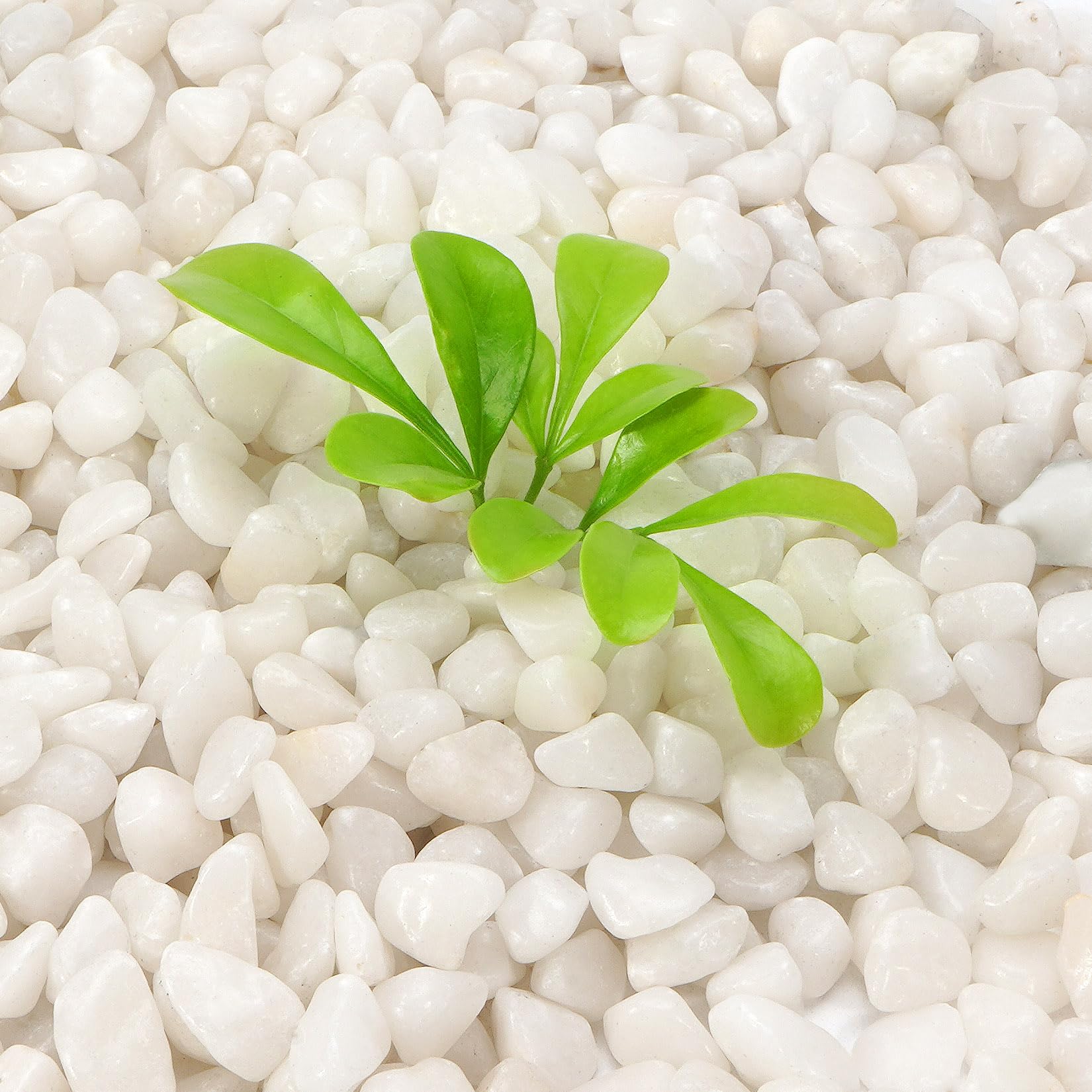 Ciottoli bianchi lucidi naturali da 1 kg, rocce bianche decorative da 0,9 cm per piante in vaso, riempimento, acquari, rocce decorative all'aperto