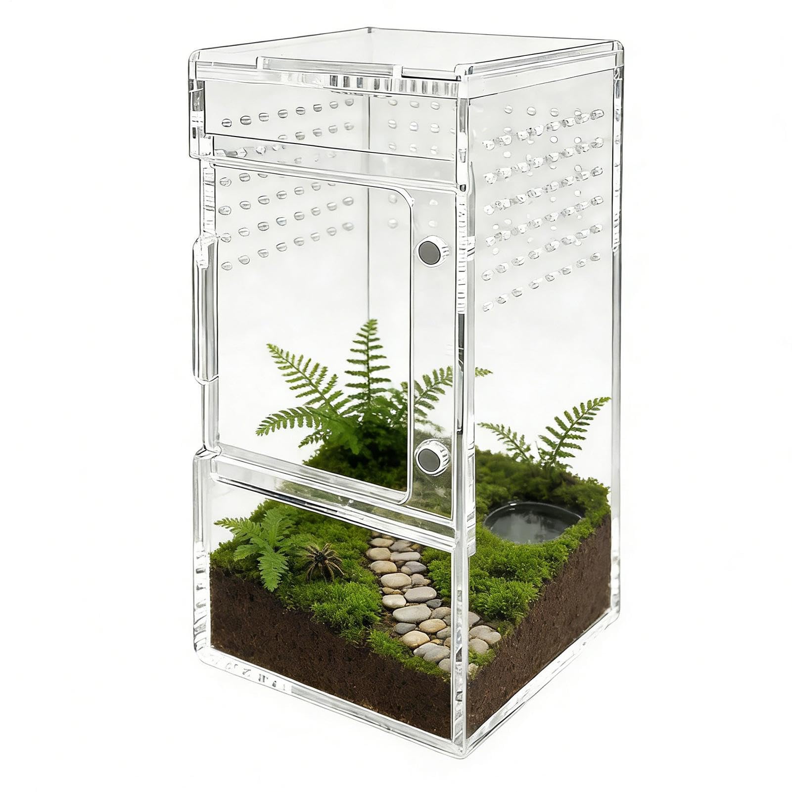 Cage à araignées anti-évasion en acrylique transparent avec aération Forora intégrée