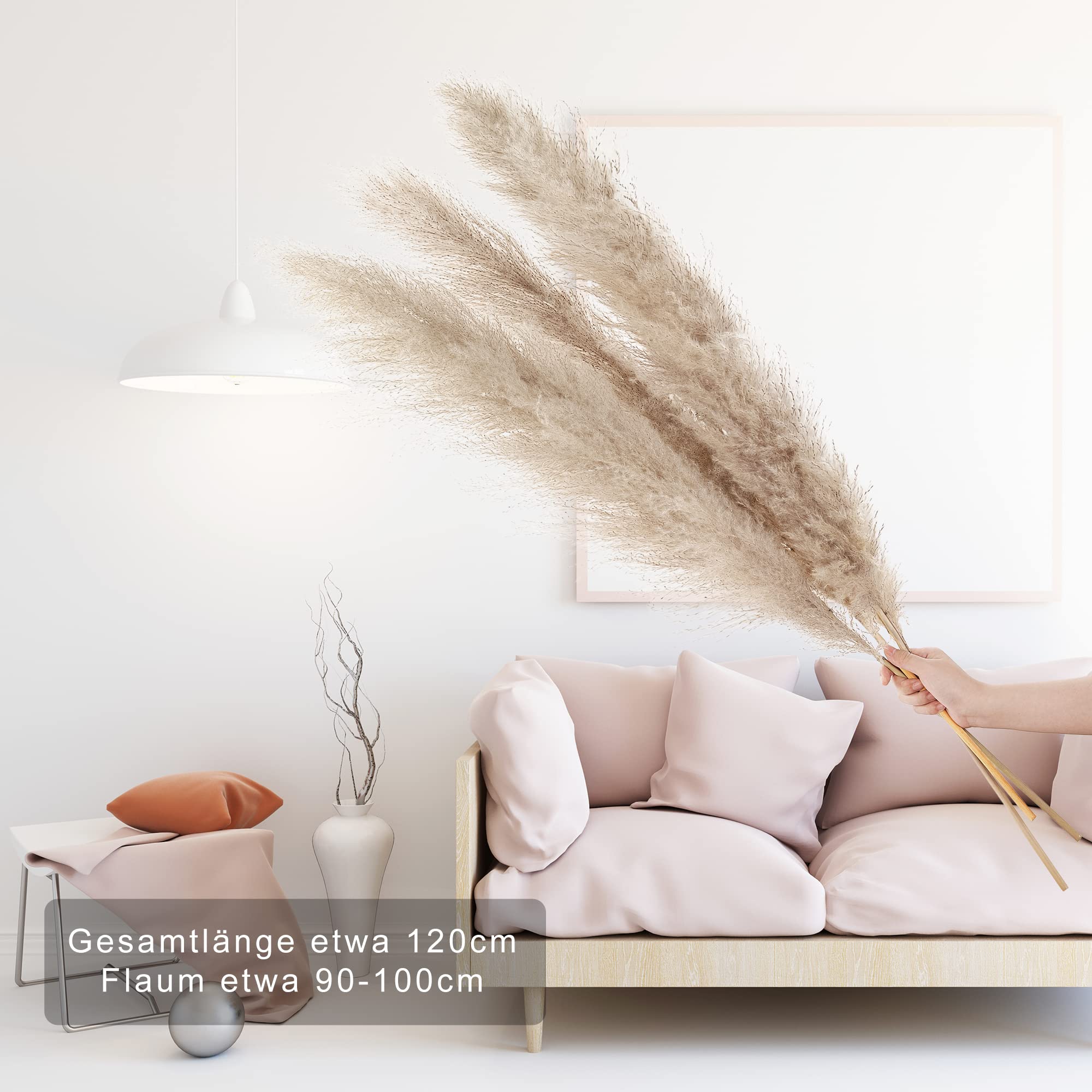 Pampasgras XXL 3er Pack - 120 Cm Trockenblumen Für Boho Deko