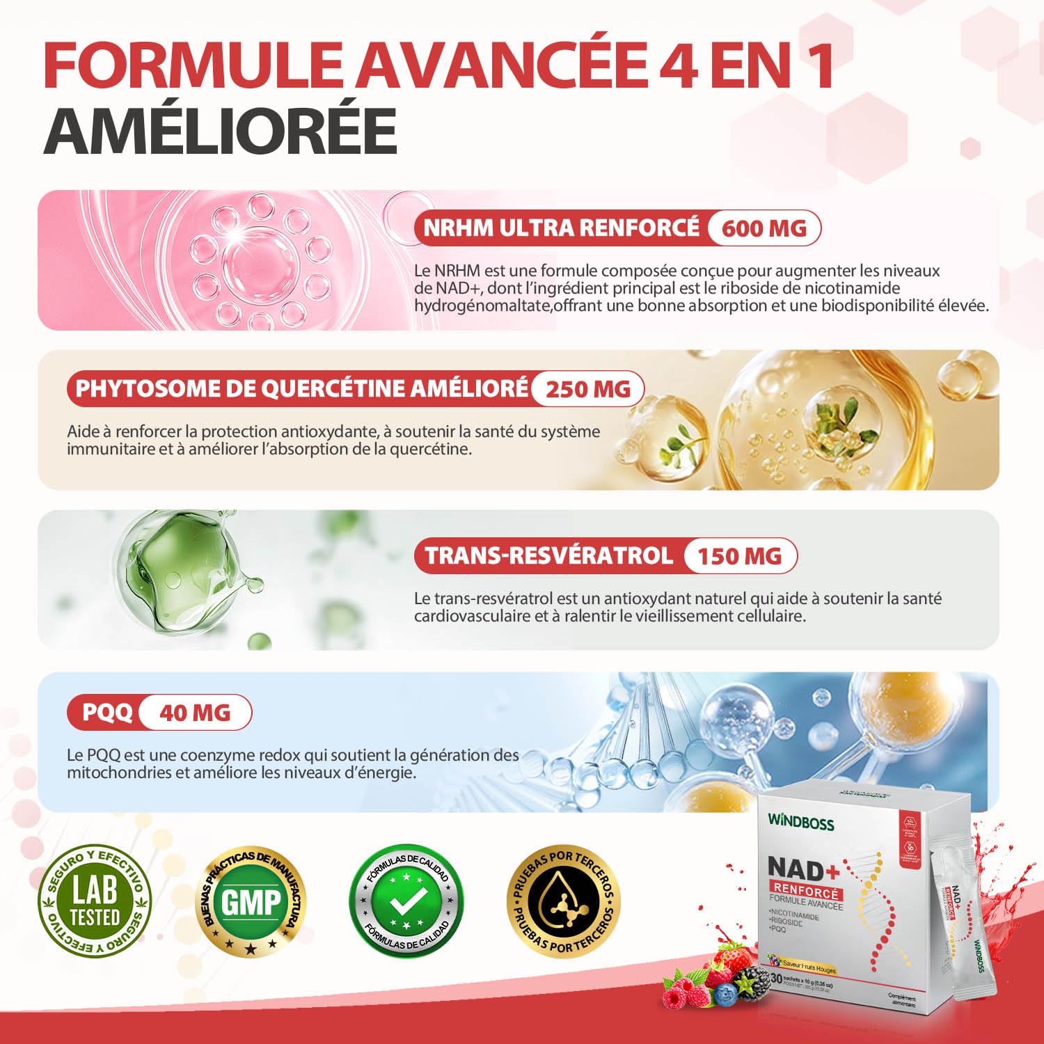 Windboss Liquide à Haute Puissance NAD+ 1000mg, NRHM ULTRA RENFORCÉ & PHYTOSOME DE QUERCÉTINE, TRANS-RESVÉRATROL– Stimule l'Énergie Cellulaire, la Concentration et le Vieillissement Sain