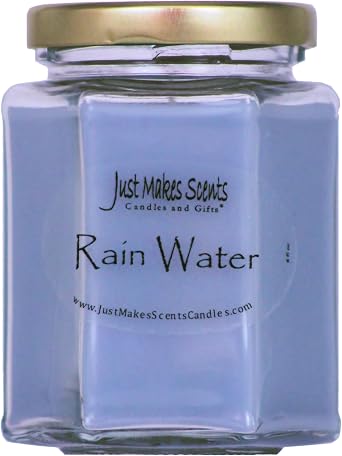 Rain Water Scented Blended Soy Candle | Clean Fresh Fragrance | Hand Poured in The USA by Just Makes Scents Candles & Gifts