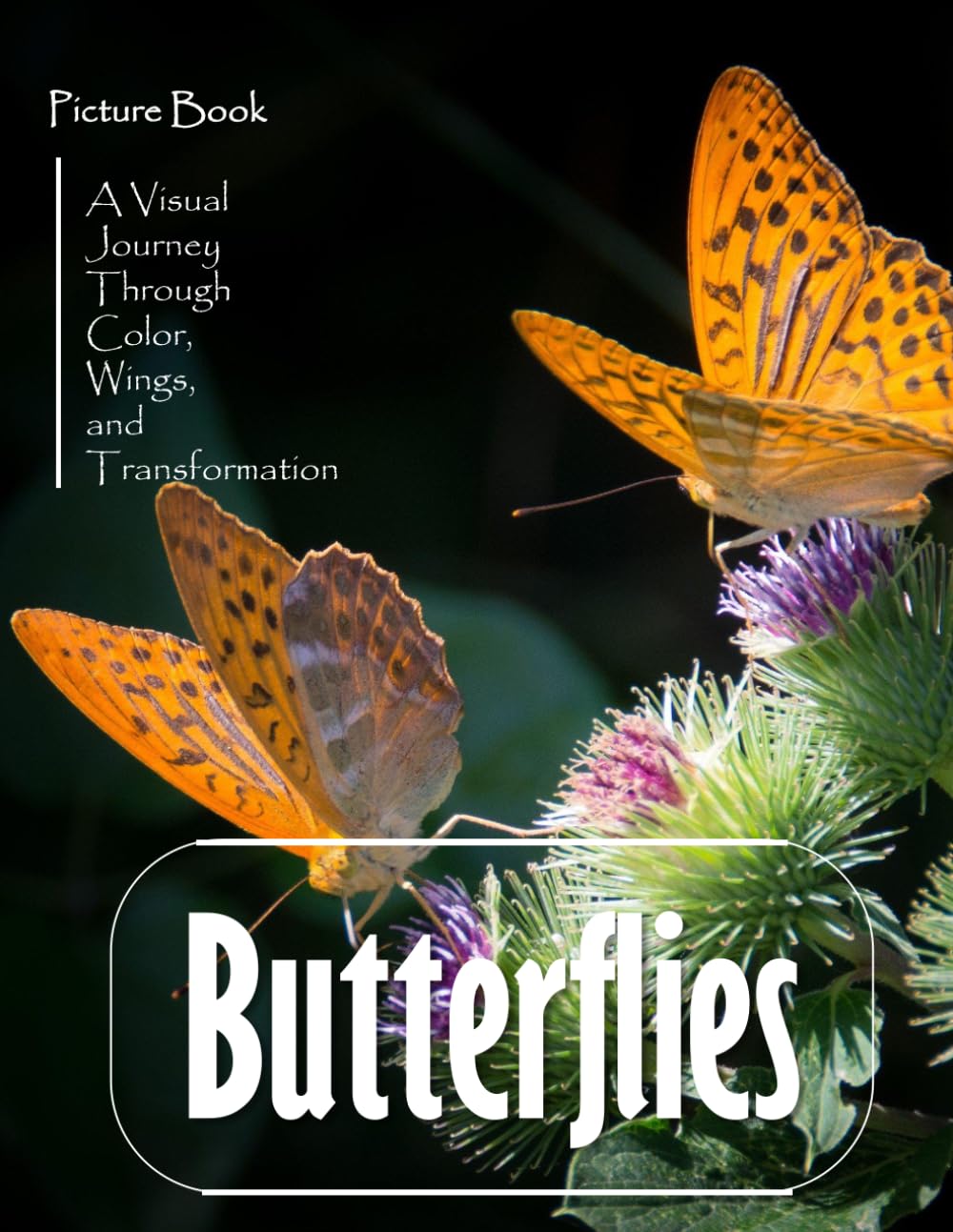 Butterflies: A Perfect Coffee Table Picture Book – Nature and Wildlife Lovers