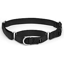 PetSafe Martingale Collar with Quick-Snap Buckle - Adjustable No-Slip Quick Release Dog Collar - Everyday Wear No-Pull Training Aid - 1" Wide - Large - Black