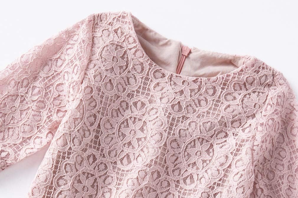 Niyage Lace Toddler Dress Girls Flower Elegant Half Sleeve Party Princess Dresses - Image 3