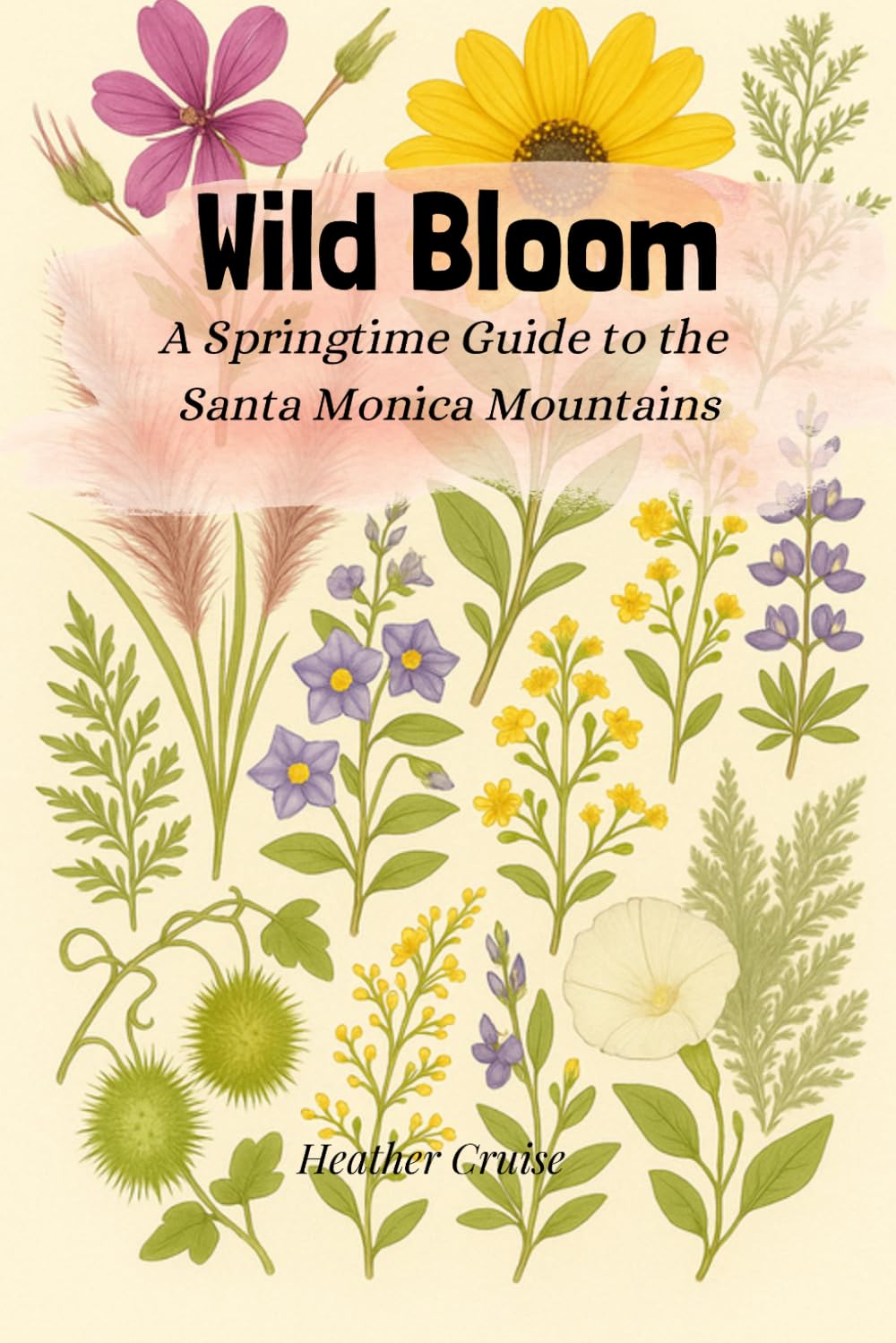 Wild Bloom: A Springtime Guide to the Santa Monica Mountains