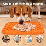 Ver la foto 6