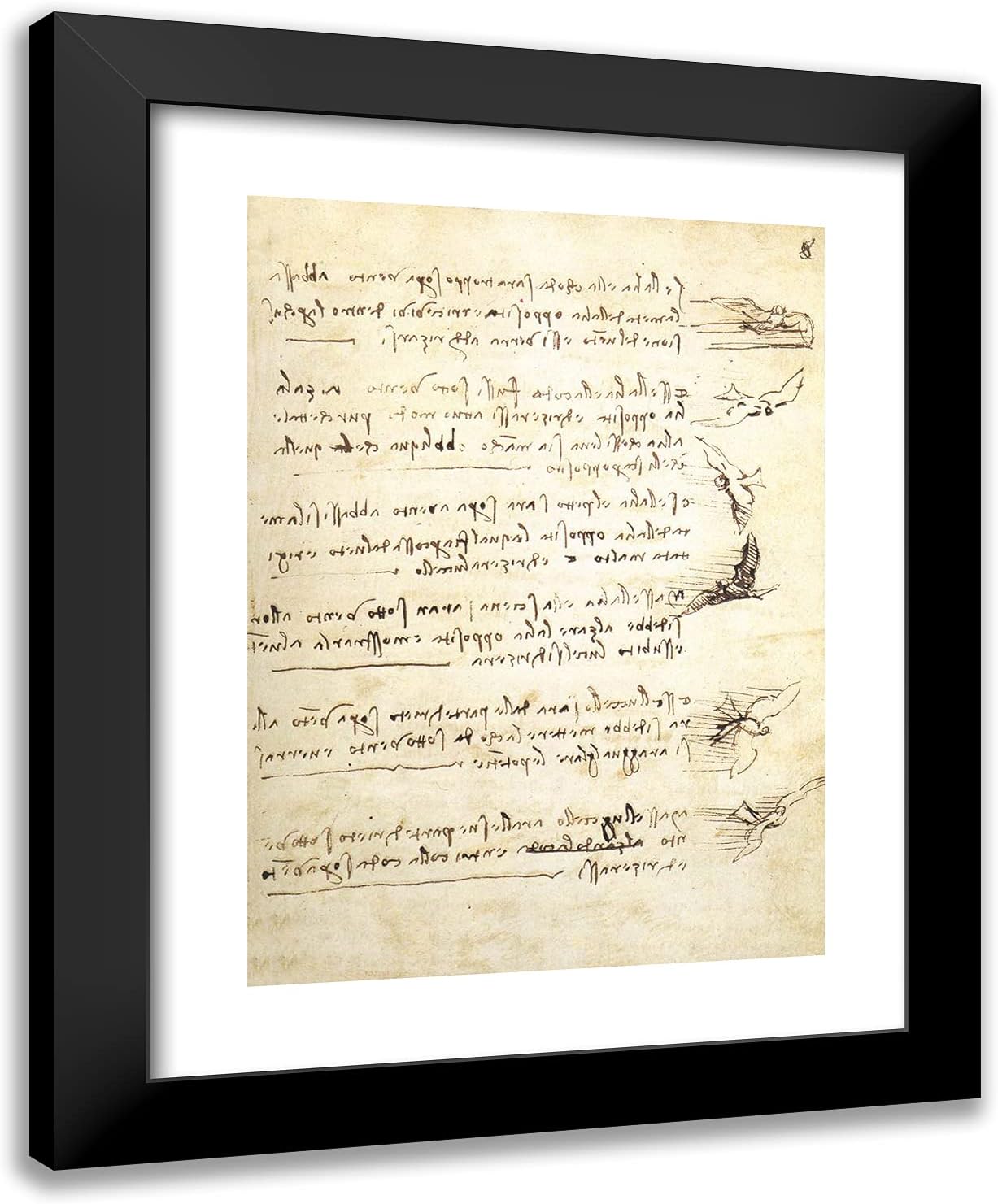 ArtDirect Da Vinci, Leonardo 19x24 Black Modern Framed Art Print with Double Matting Titled: Codex on the Flight of Birds I