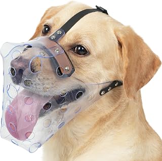 Mayerzon Clear Basket Dog Muzzle for Large Breeds - Breathable Humane Anti-Biting Cage for Grooming Training Vet Visits Size L