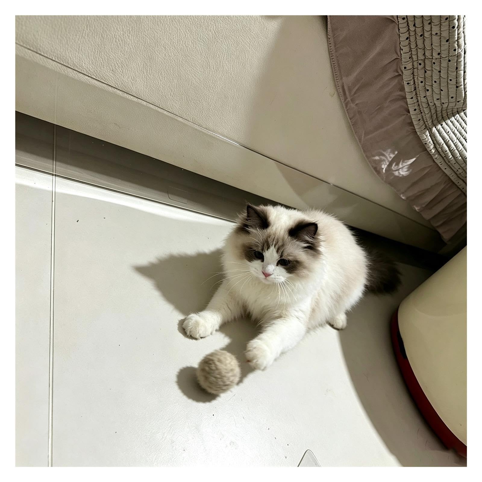 Bloqueur Sous Lit Barrière Autocollante Transparente Sous Canapé Pour Chats