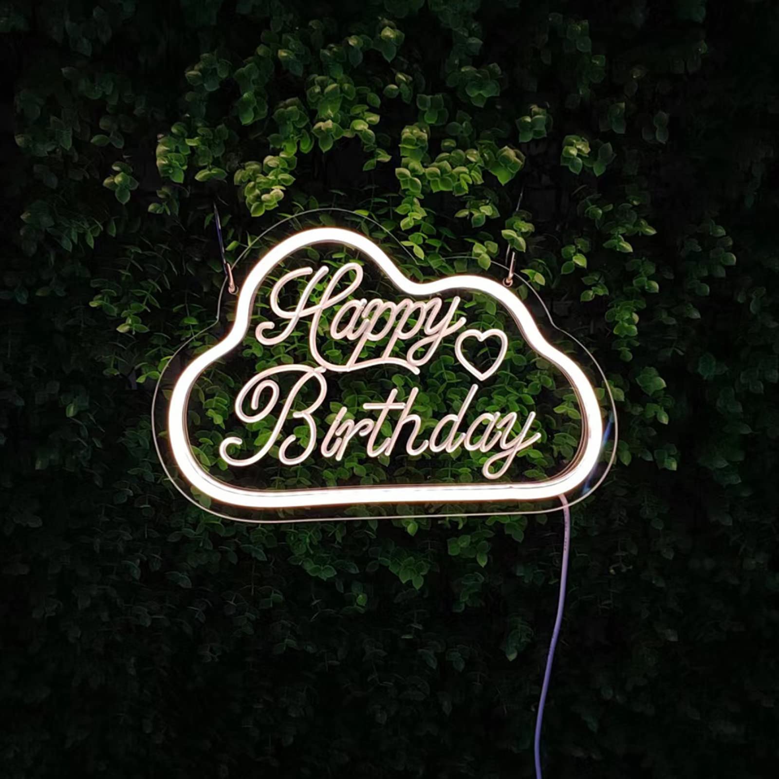 Wall Decor Neon Light|USB Powered Dimmable Creative Led Modeling Lights|Light Up Letters Neon Signs Happy Birthday Party Decor,Warm White
