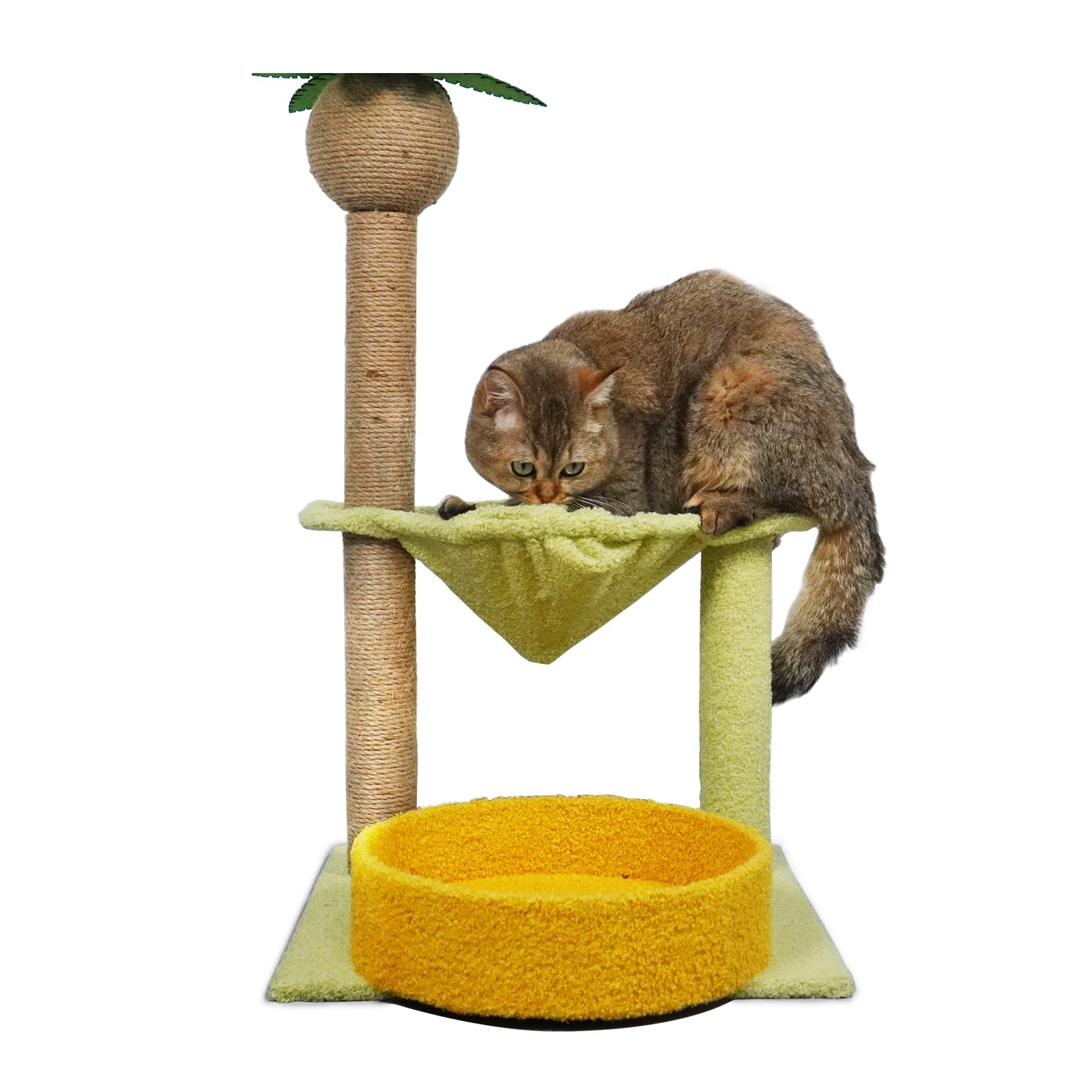 Buy Cat Scratching Post Hammock, Cat Scratcher with Fully Wrapped Sisal