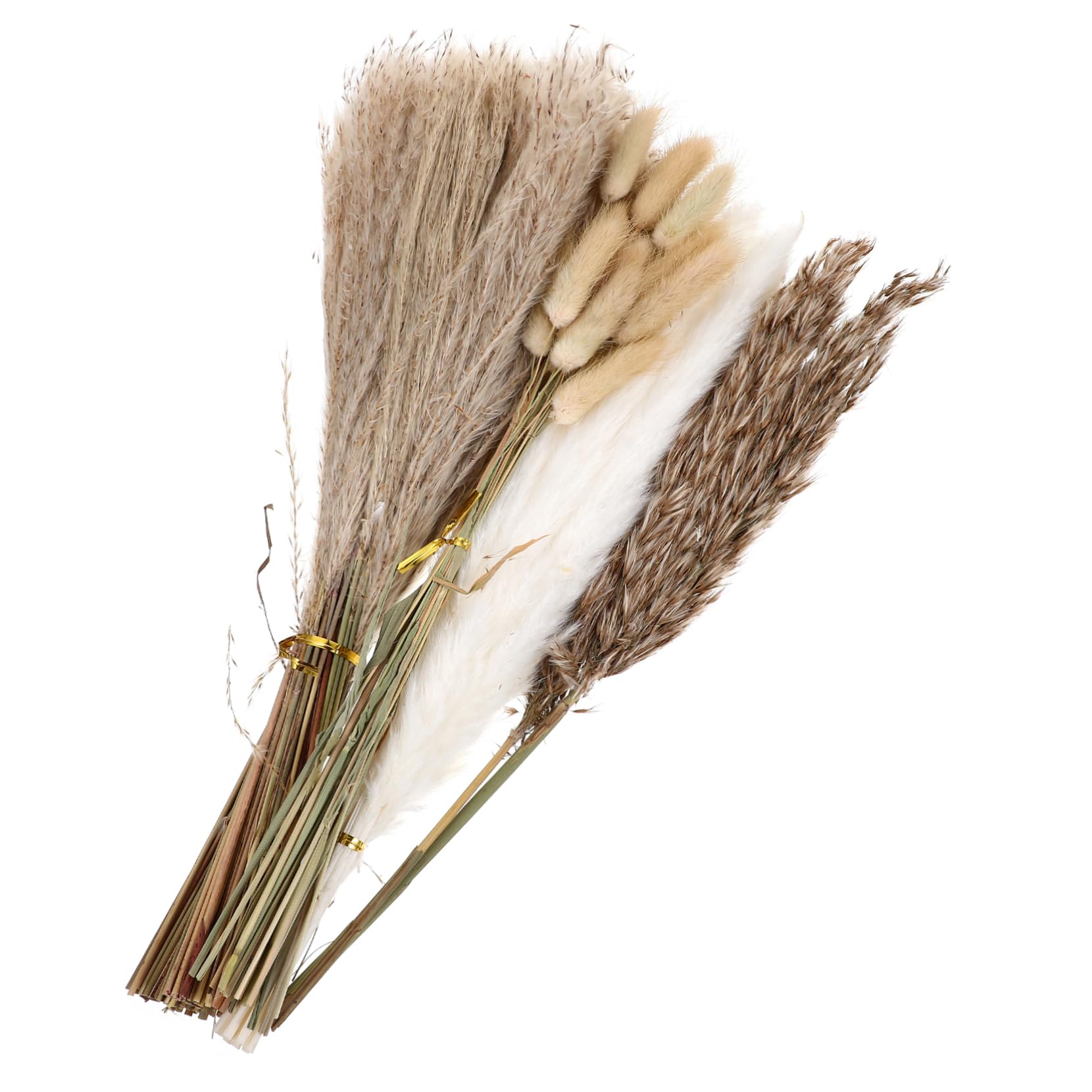 Cabilock Ramo De Flores Secas De Phragmites para Decoración De Hogar Arreglo Floral Natural para Bodas y Fiestas Estilo Rústico Mantenimiento