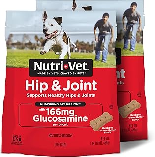 Nutri-Vet Hip & Joint Dog Biscuits, 166mg Glucosamine, 16oz (Pack of 2) | Joint Supplement for Dogs, Hip & Joint Support, Functional Treats, Small Dog Biscuits, Peanut Butter Flavor, Mobility Support