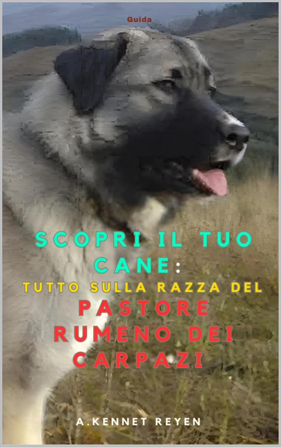 Scopri il Tuo Cane: Tutto sulla razza: del Pastore Rumeno dei Carpazi ...