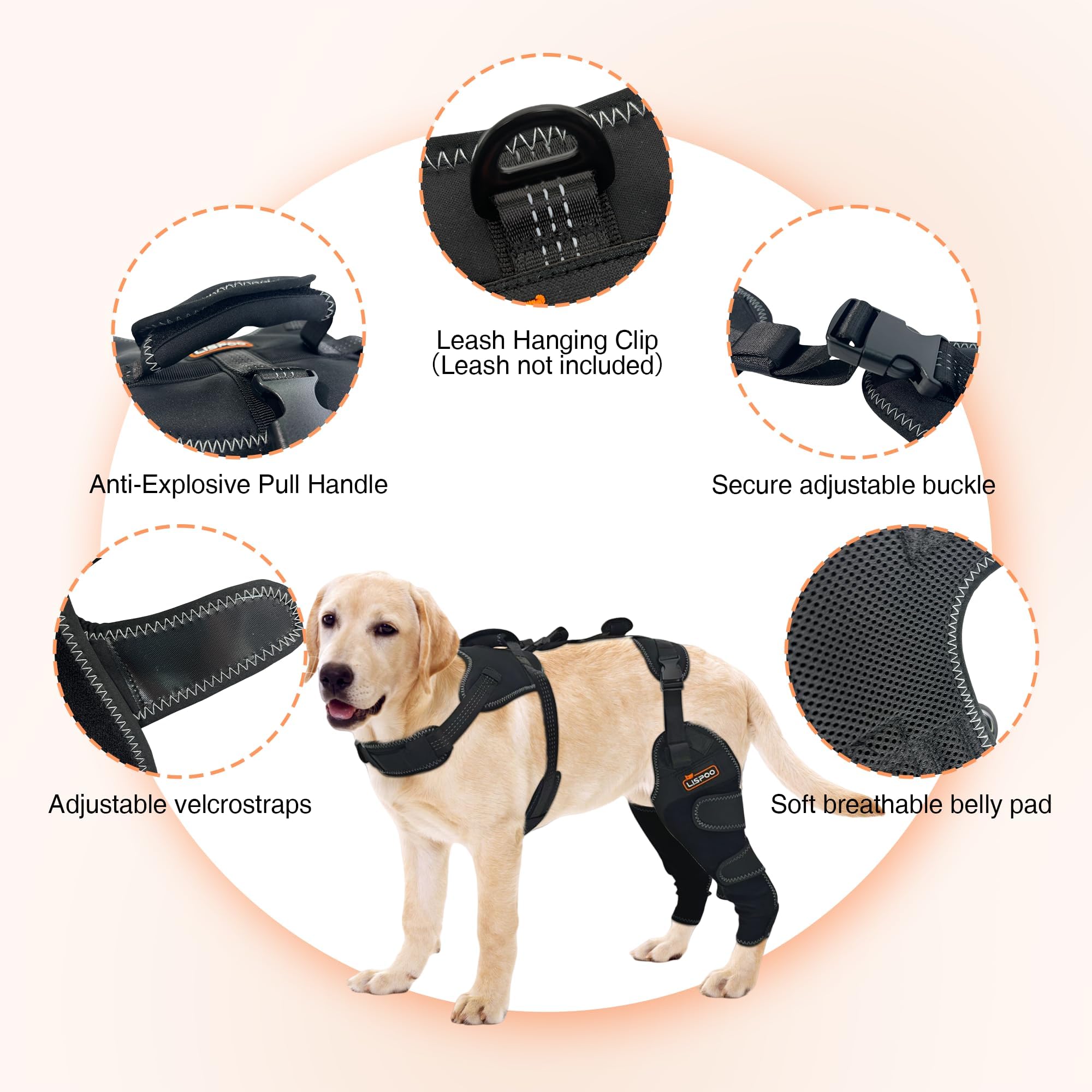 LISPOO Dog Knee Brace for ACL Arthritis Relief & Patellar Luxation, Adjustable Rear Leg Support with Joint Protection - Image 2