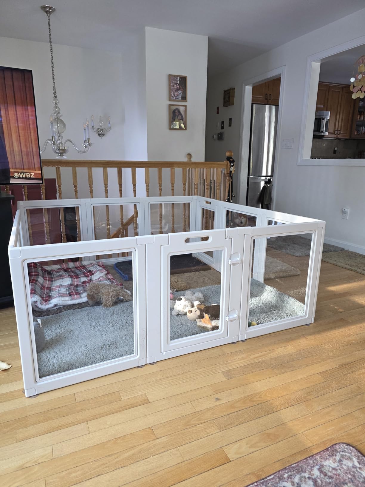 Box per cani in acrilico per interni, 12 pezzi, colore: bianco