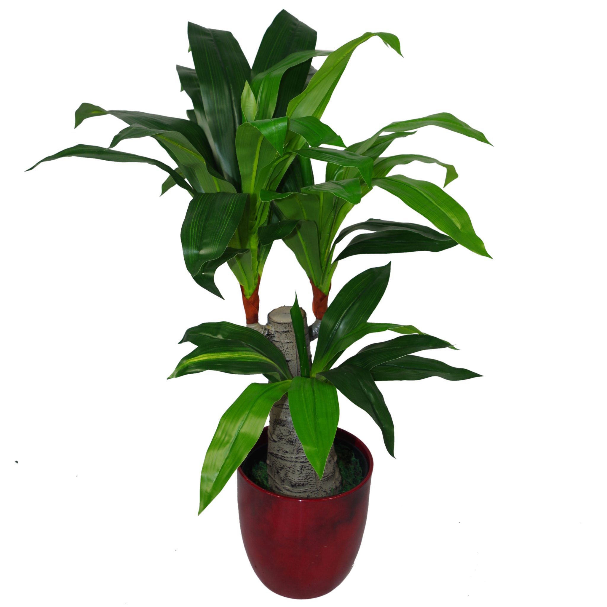 Leaf Design UK Artificial Dracaena Plant with Black Pot