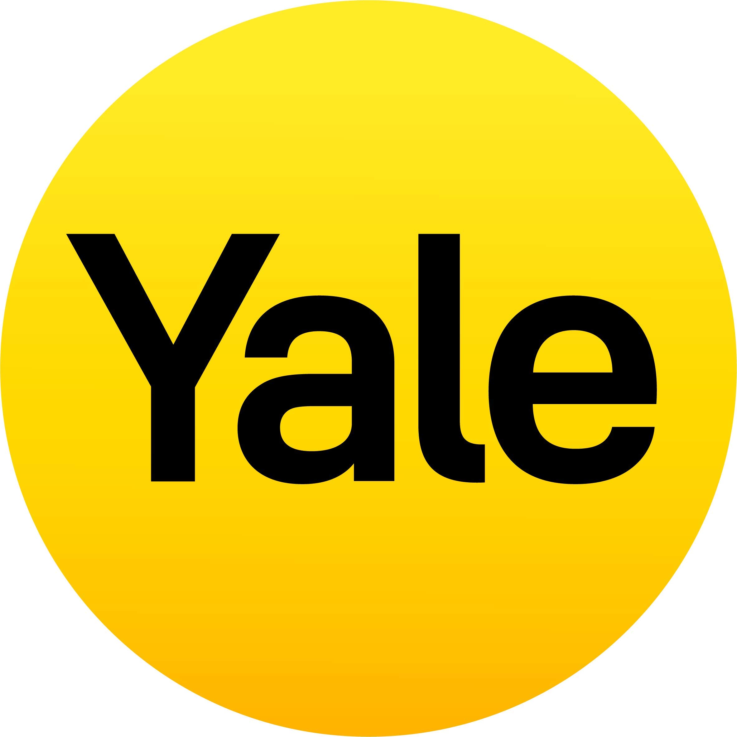 Amazon | Yale(エール)南京錠 商品名称:南京錠 仕様:D17 W51 H72