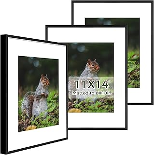 Golden State Art 11x14 Picture Frame 3 Pack - Aluminum Frames with 8x10 ...