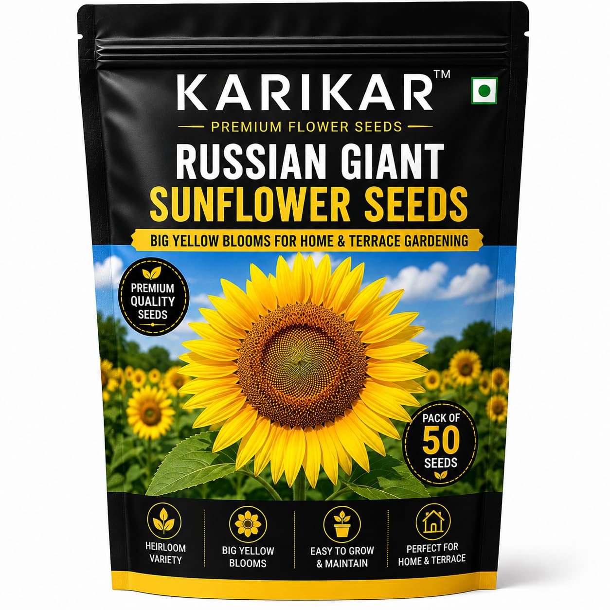 Russian Giant Sunflower Seeds for Home & Terrace Garden | Pack of 50 Seeds, Heirloom Variety, Big Yellow Blooms, Easy to Grow, Annual Blooming Plant-image-22