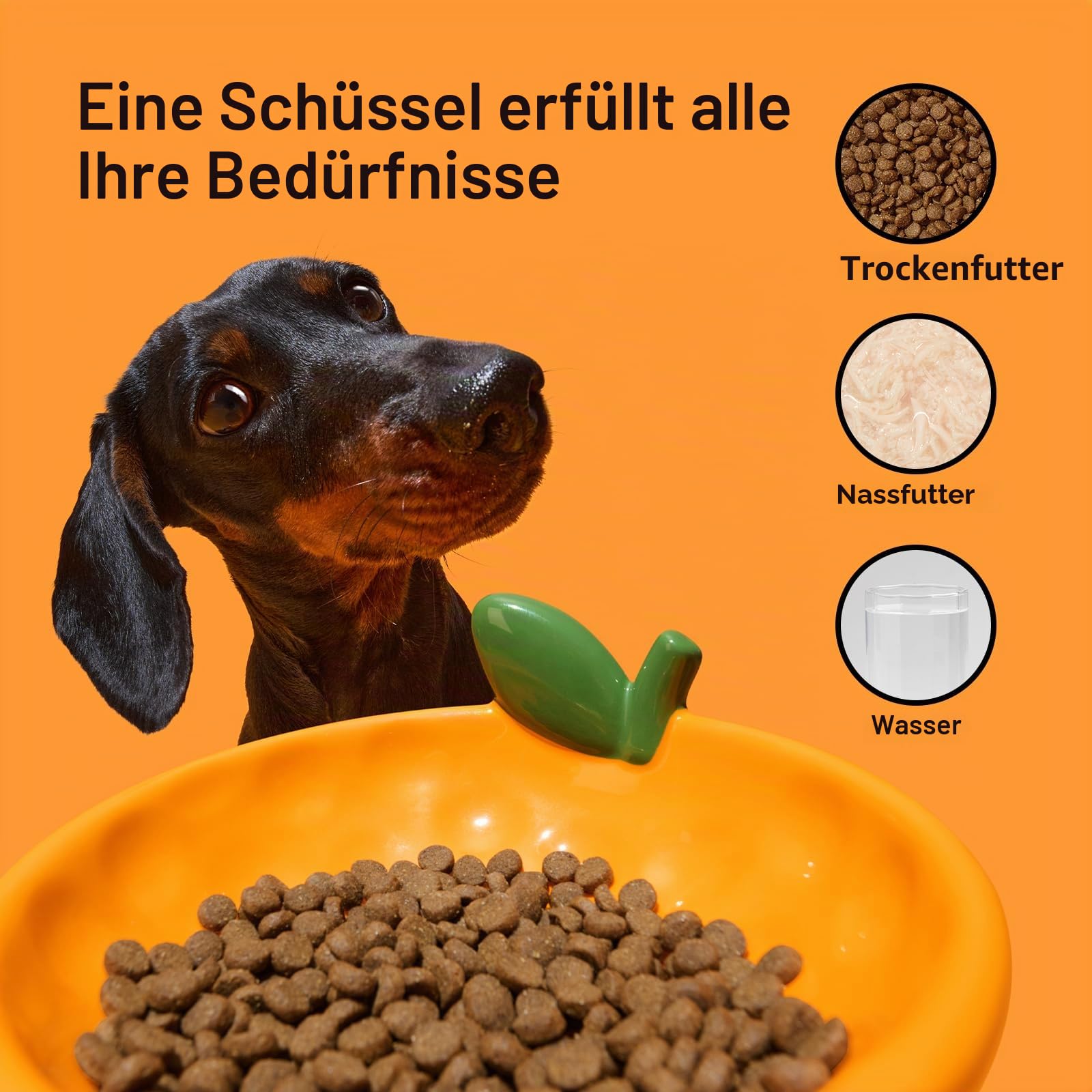 VETRESKA Futternapf aus Keramik, geneigtes Design, Futterspender für Futter und Wasser | Katzennäpfe gegen Erbrechen für Indoor-Katzen, niedlicher Mandarinen-Katzennapf, spülmaschinenfest