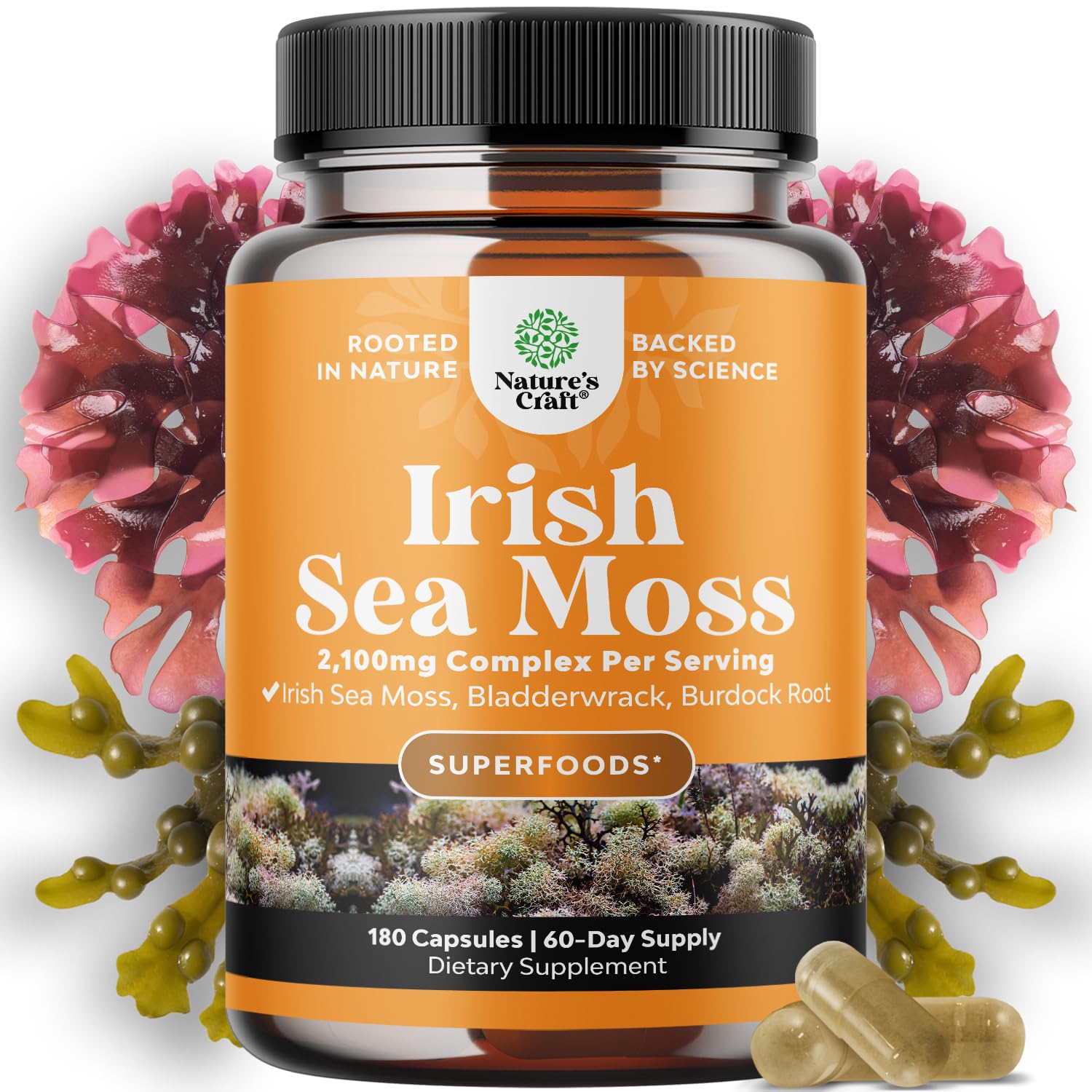 Natures Craft Irish Sea Moss Capsules - Sea Moss Pills with 2100mg Serving Superfood Complex with Bladderwrack Burdock Root and BioPerine for Immune Skin & Thyroid Support - Vegan Non-GMO - 180 Count