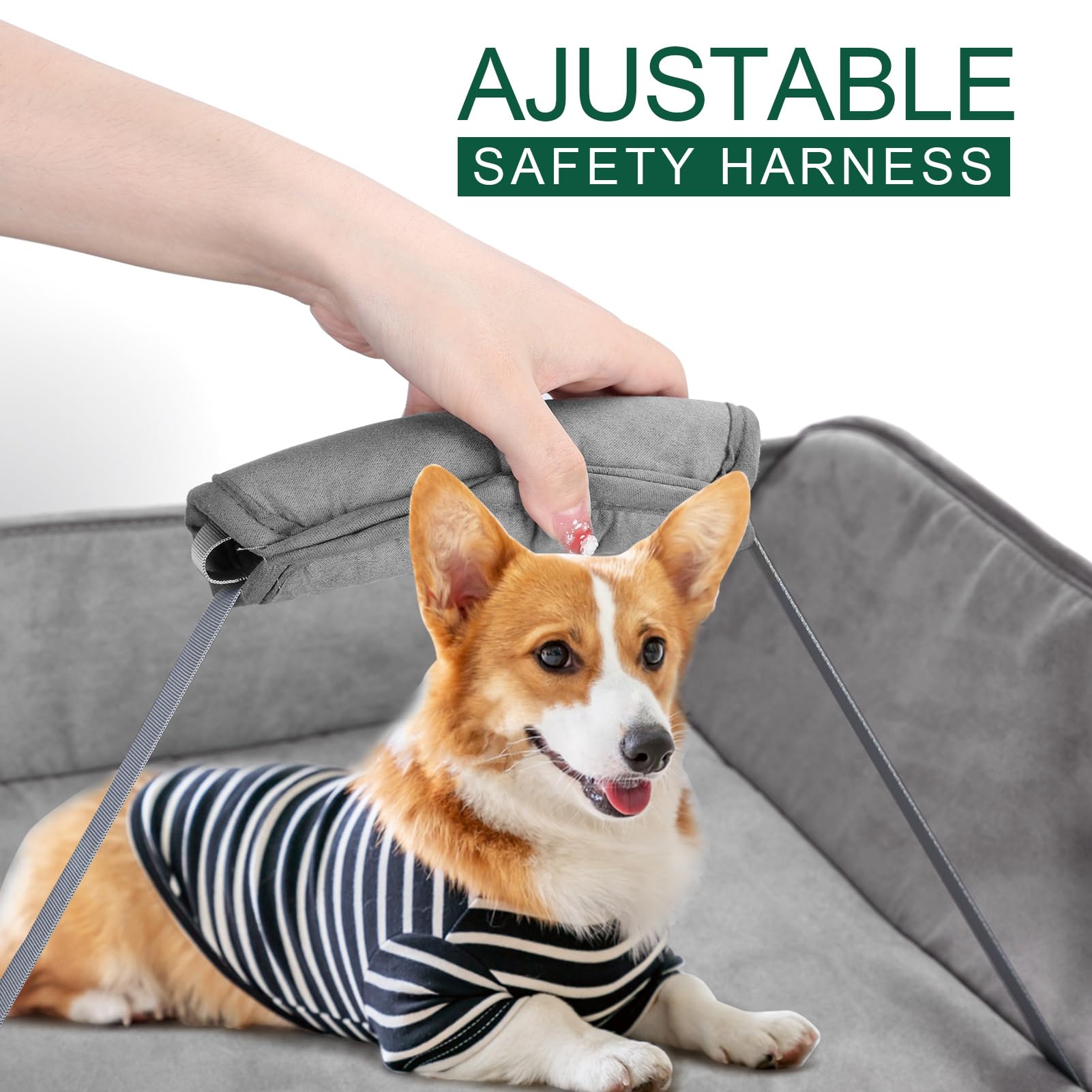 Bañera 2 en 1 para perros, estación de lavado de perros, bañeras para perros para bañarse y asearse, bañeras para mascotas, bañera portátil plegable con arnés de seguridad para perros pequeños,