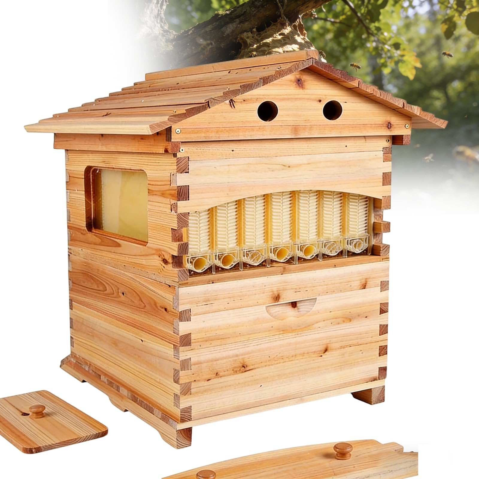 Kit Apicoltura Iniziale, Arnia in Legno Tutto-in-Uno con Finestra di Osservazione Bocca Miele E Casa Api Legnaioli, Ideale per Giardino E Fattoria