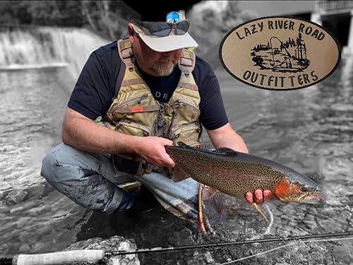 Miniatura 8 de 32 Tungsteno jigged Competición Euro Ninfas