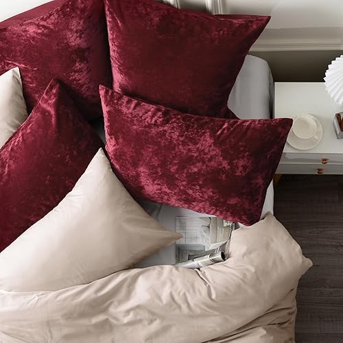 Miniatura 3 de PHF Fundas de almohada de terciopelo tamaño King 20 x 36 pulgadas, color rojo vino