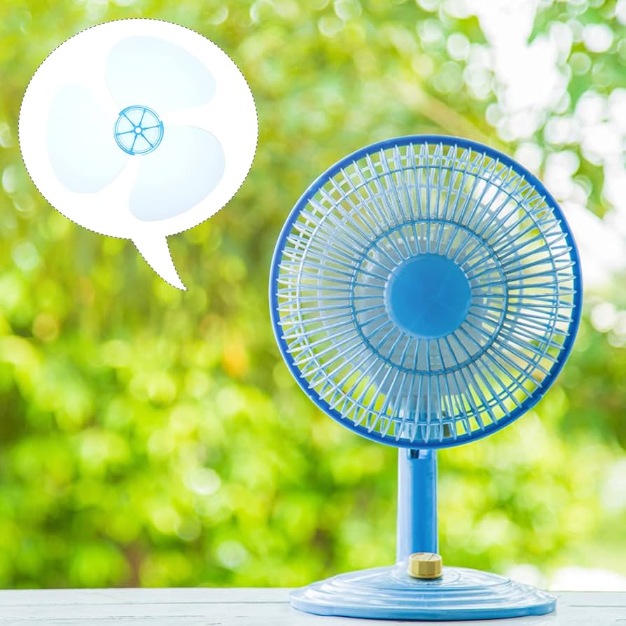 71MnAuj51QS._AC_UF894,